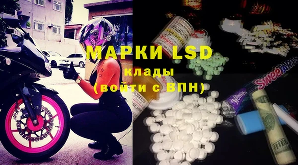 крисы Майский