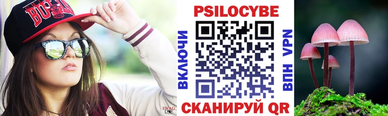 ссылка на мегу маркетплейс  Певек  Псилоцибиновые грибы Psilocybe  цена наркотик 
